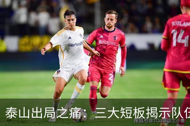泰山出局之痛：三大短板揭示队伍困局